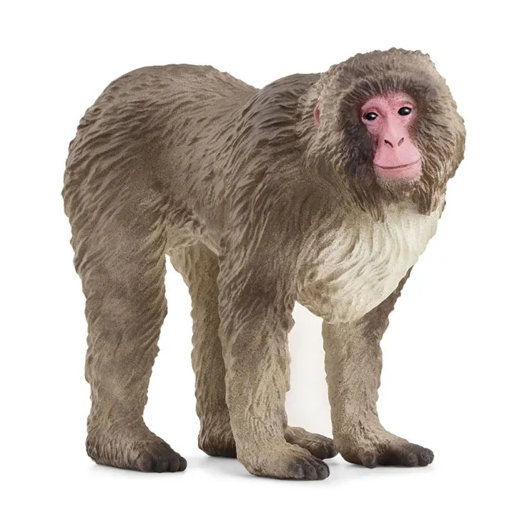 Macaco japonés.<Schleich Discount