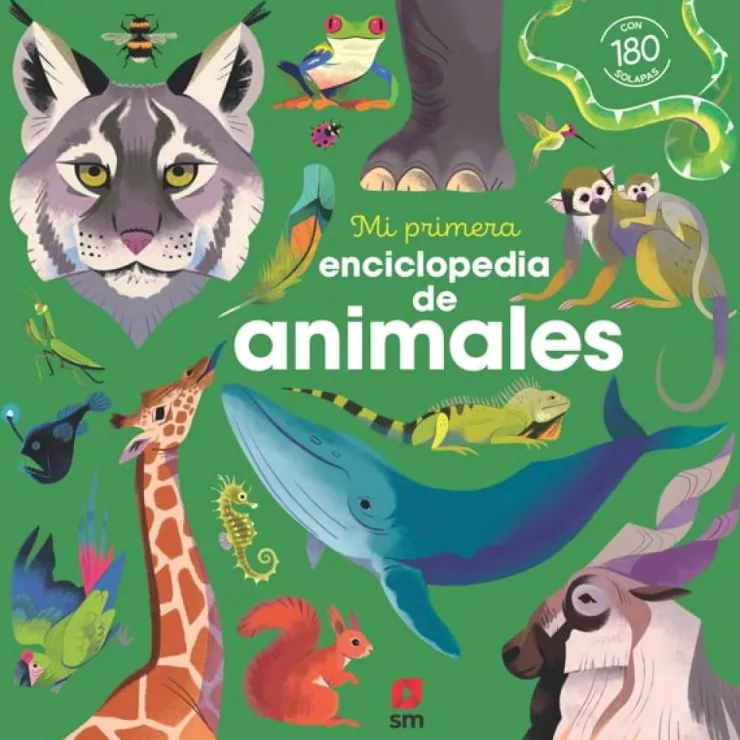 Mi primera enciclopedia de animales< Outlet