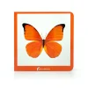 Naranja< Online