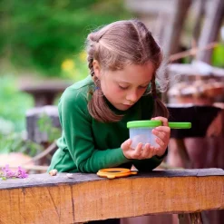 Observador insectos vaso con lupa 3 en 1<Haba Best
