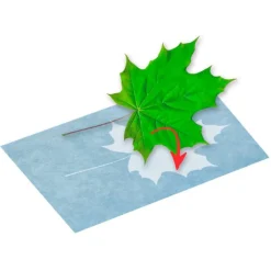 Papel para impresión solar set 10 hojas<Phanomint Best