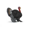Pavo.<Schleich Discount