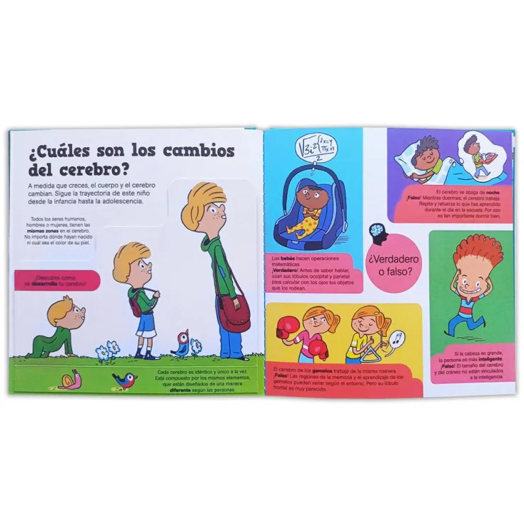 Pequeños curiosos: Conoce tu cerebro< Discount