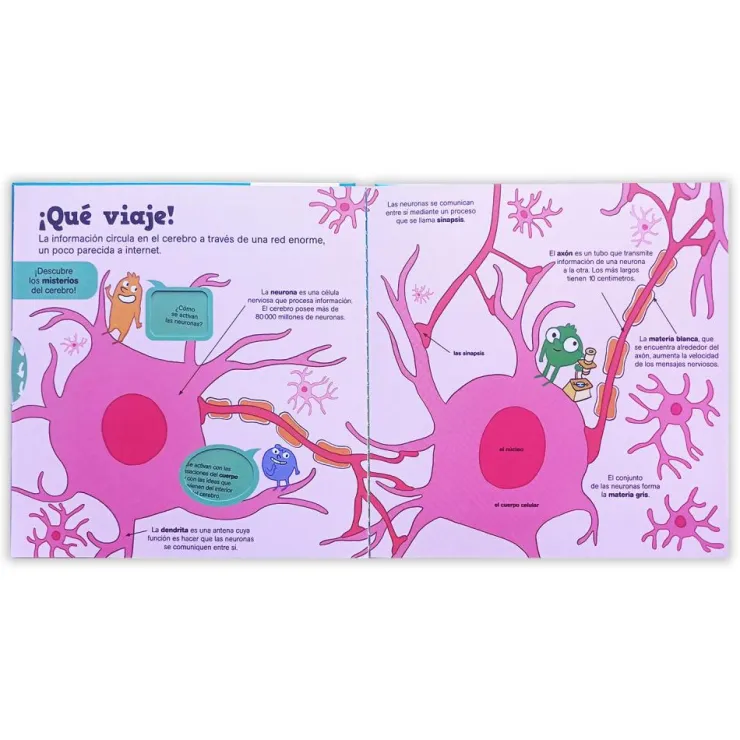 Pequeños curiosos: Conoce tu cerebro< Discount