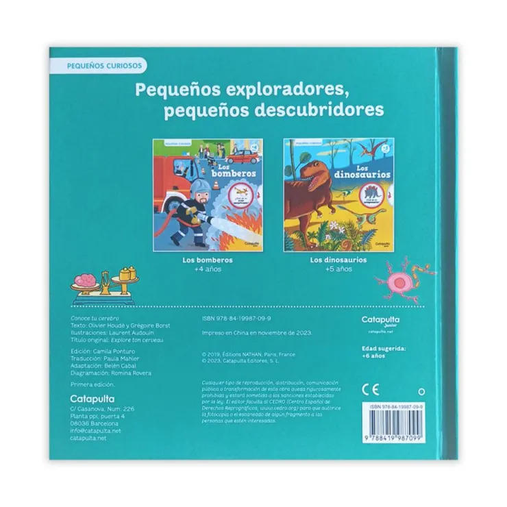 Pequeños curiosos: Conoce tu cerebro< Discount