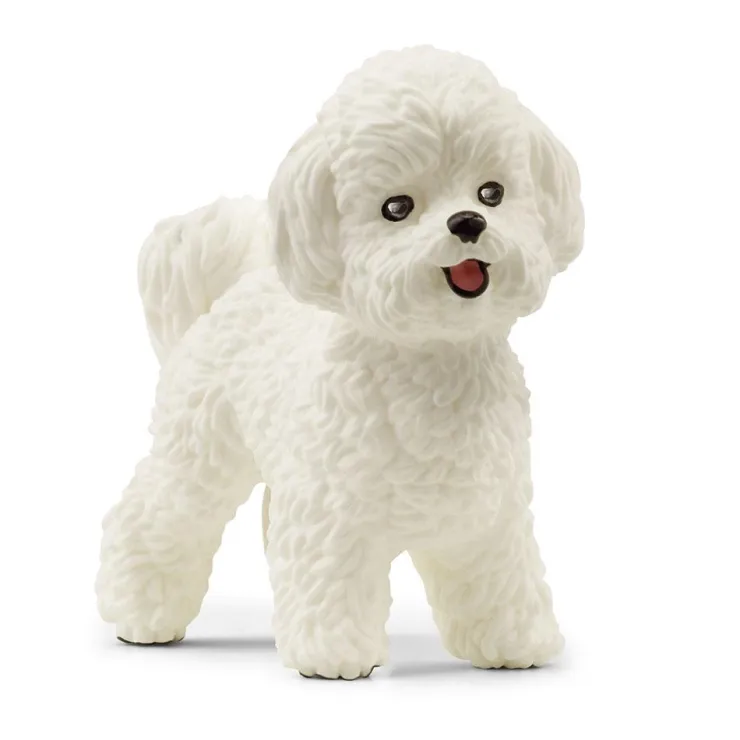 Perro bichón frisé.<Schleich Hot