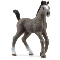 Potro Cheval de Selle Français.<Schleich