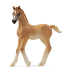 Potro árabe.<Schleich Hot