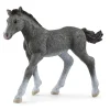 Potro Trakehner.<Schleich Discount