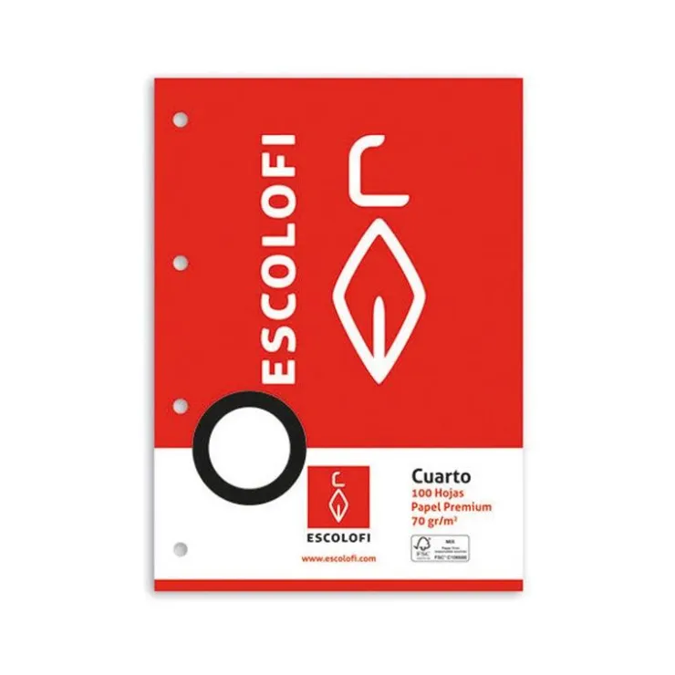 Recambio tamaño cuarto cuadro 6mm. 100 hojas con margen y 4 taladros<Escolofi Sale