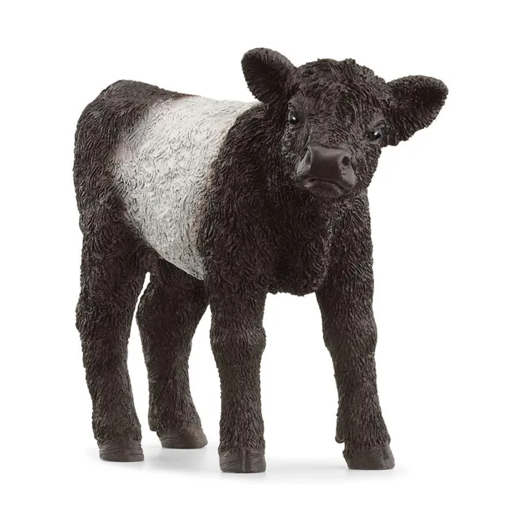 Ternero Galloway.<Schleich