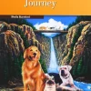 The incredible Journey (2 ESO). Activity Burlington<