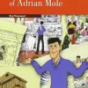 The secret diary of Adrian Mole (1 Bachiller).< Clearance