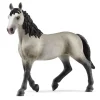 Yegua Cheval de Selle Français.<Schleich Outlet